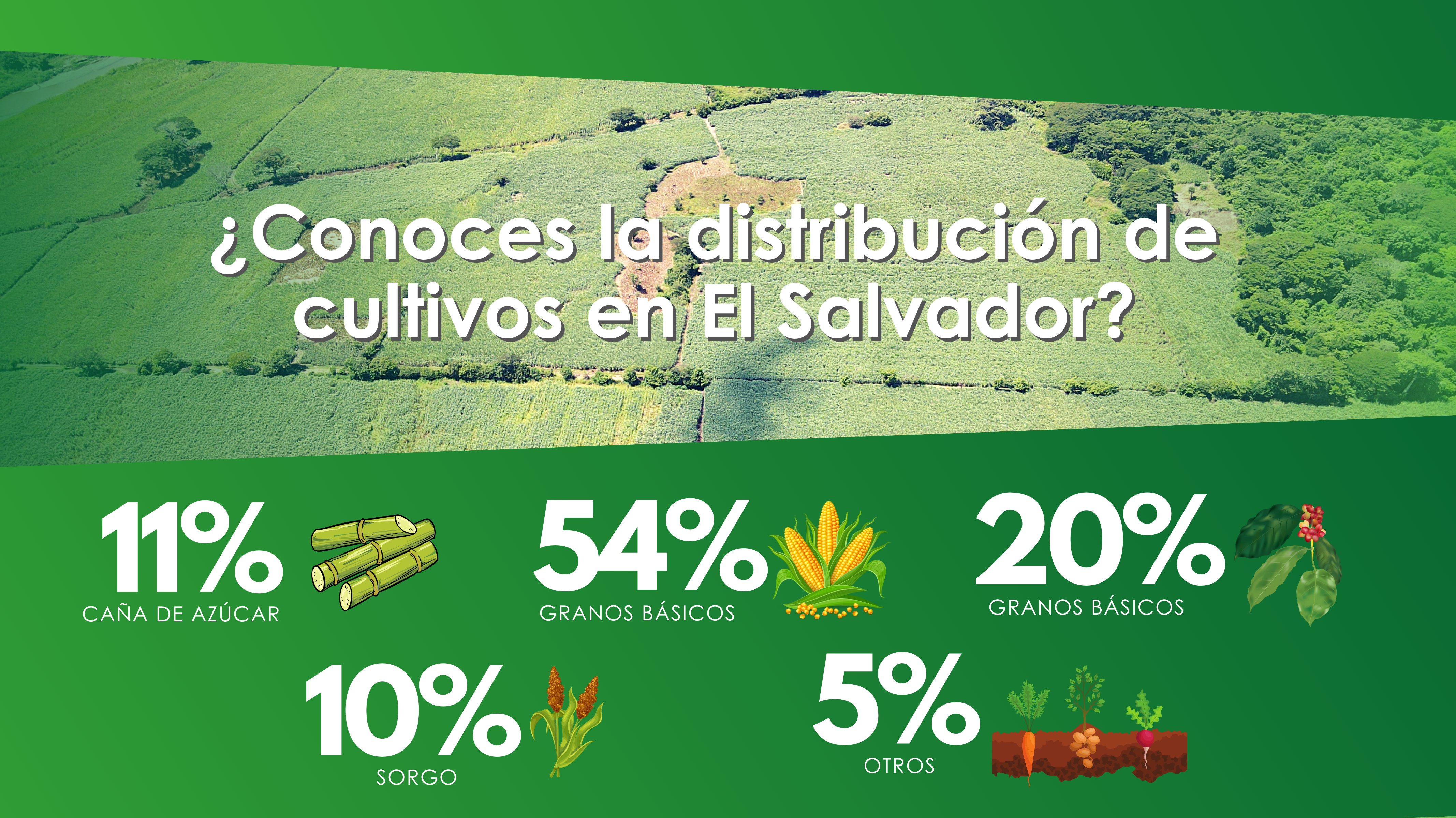 ¿Conoces la distribución de cultivos en El Salvador